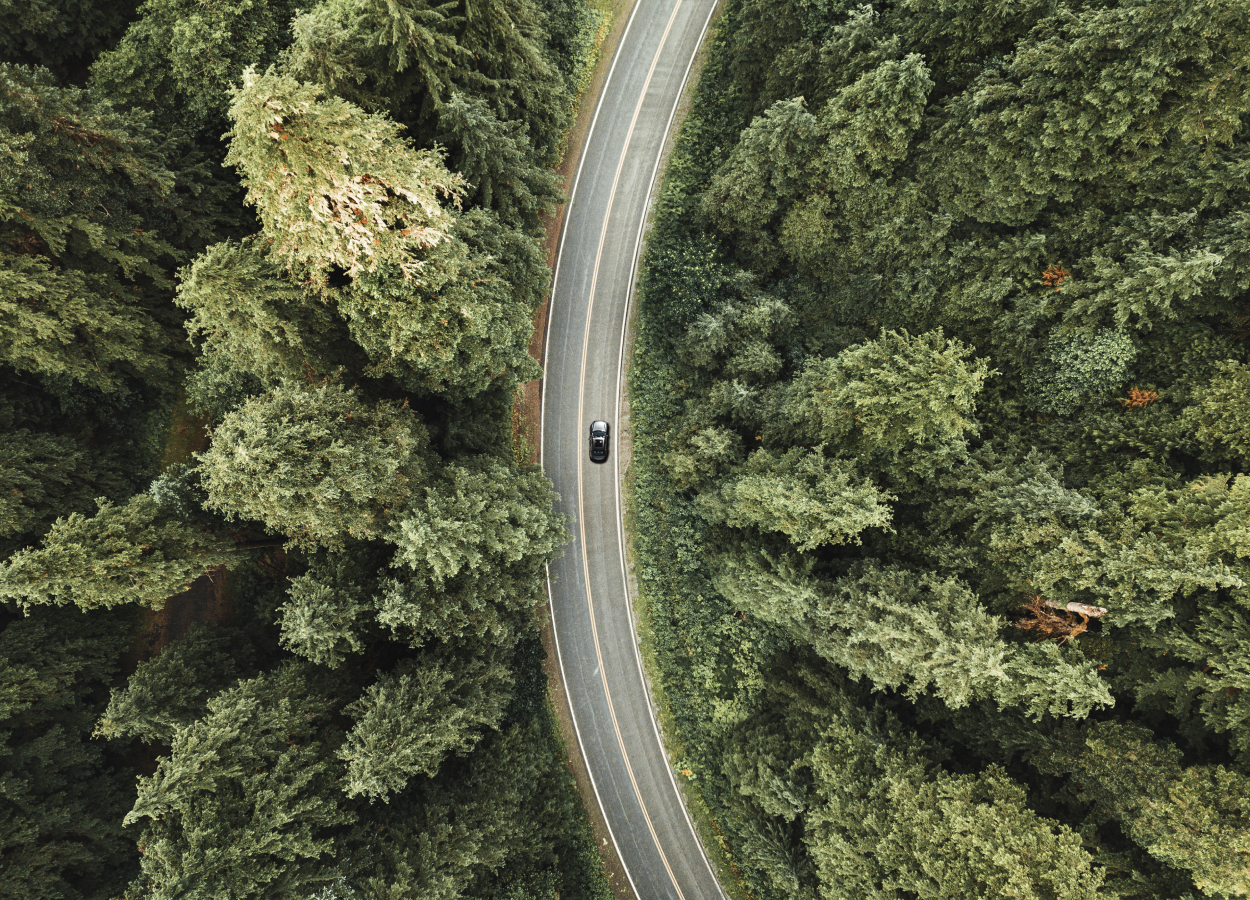 Aerial view of a road through a forest