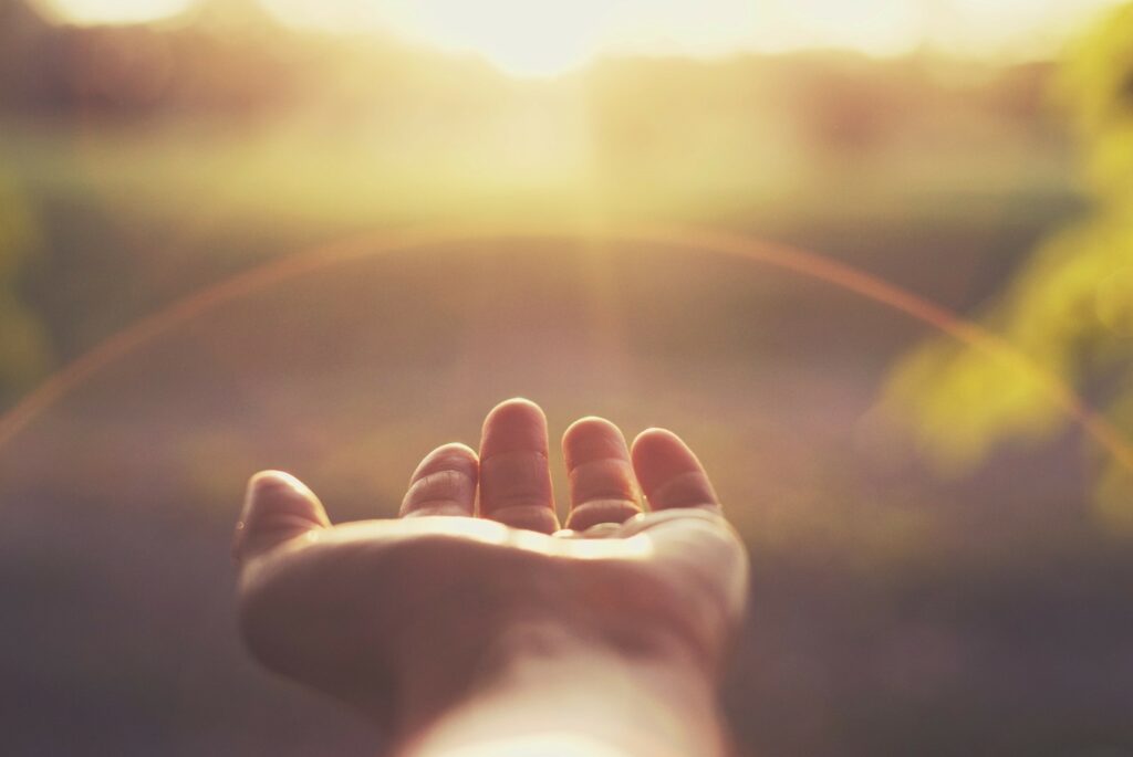 Open hand held out in warm light