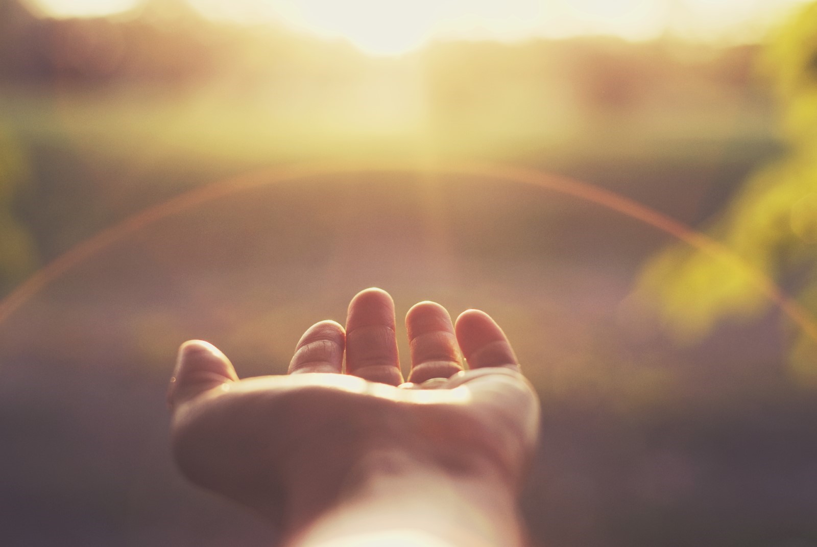 Open hand held out in warm light